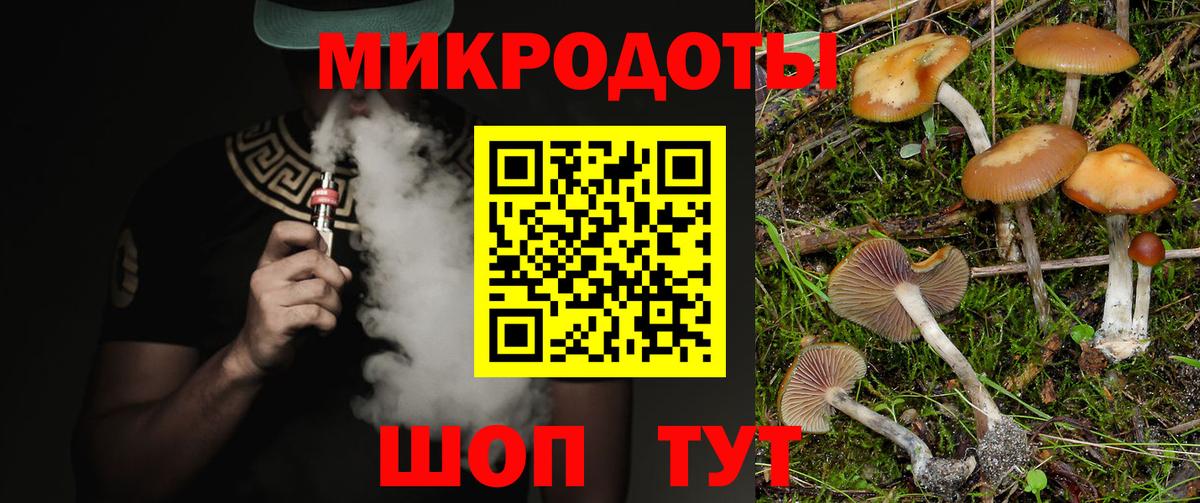 Псилоцибиновые грибы Cubensis Зеленокумск