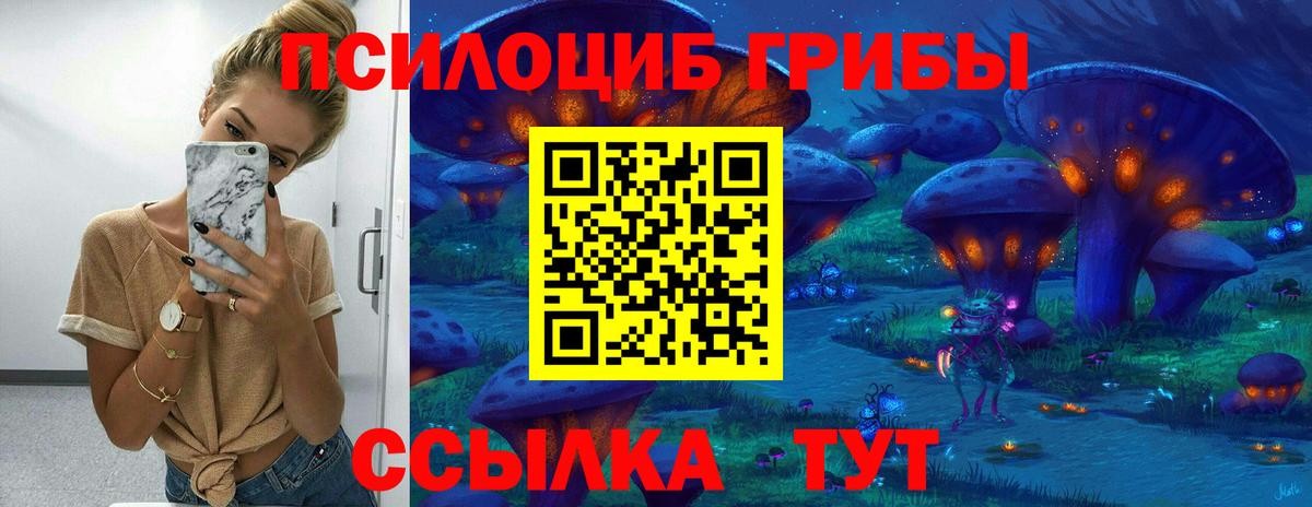 Галлюциногенные грибы Psilocybine cubensis  Вход с VPN  Псилоцибиновые грибы Magic Shrooms  Зеленокумск 